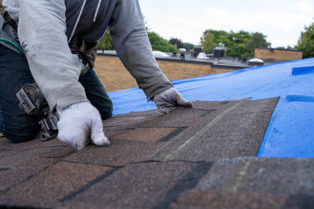Best Flat Roof Repair Services  in Richland, GA