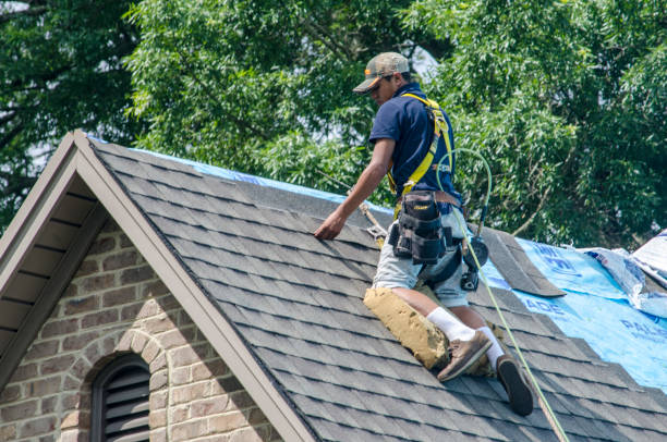 Best Metal Roofing Contractor  in Richland, GA