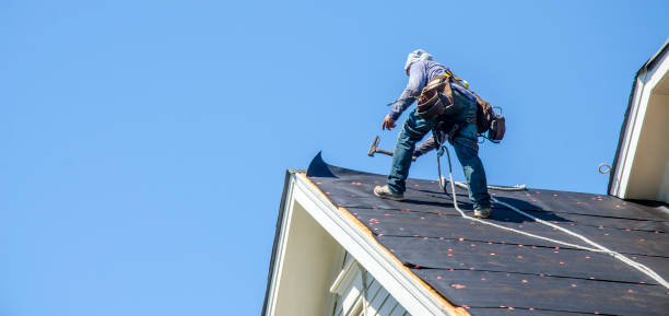 Best Roofing Contractor Near Me  in Richland, GA